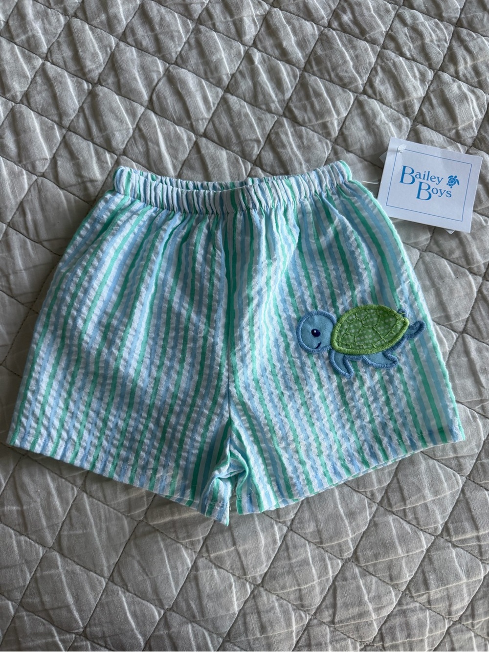 Bailey Boys Turtle Tides Swim Trunks (24 Months)